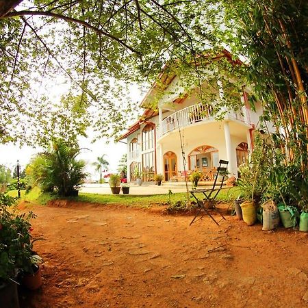 Summit View Bed and Breakfast Kandy Buitenkant foto
