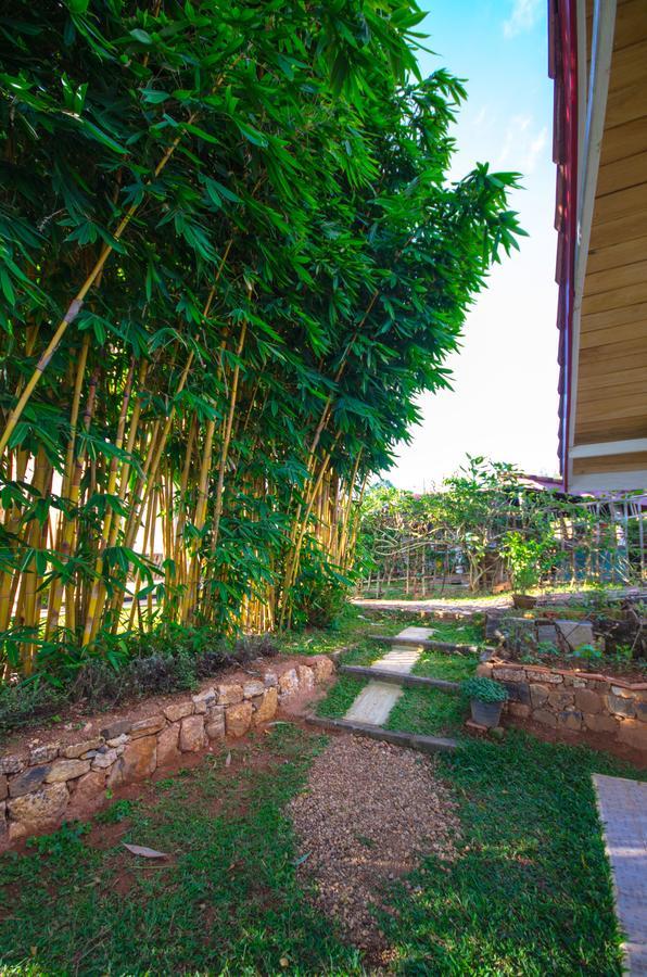 Summit View Bed and Breakfast Kandy Buitenkant foto