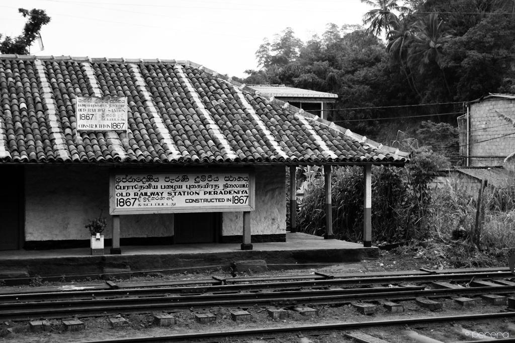 Summit View Bed and Breakfast Kandy Buitenkant foto