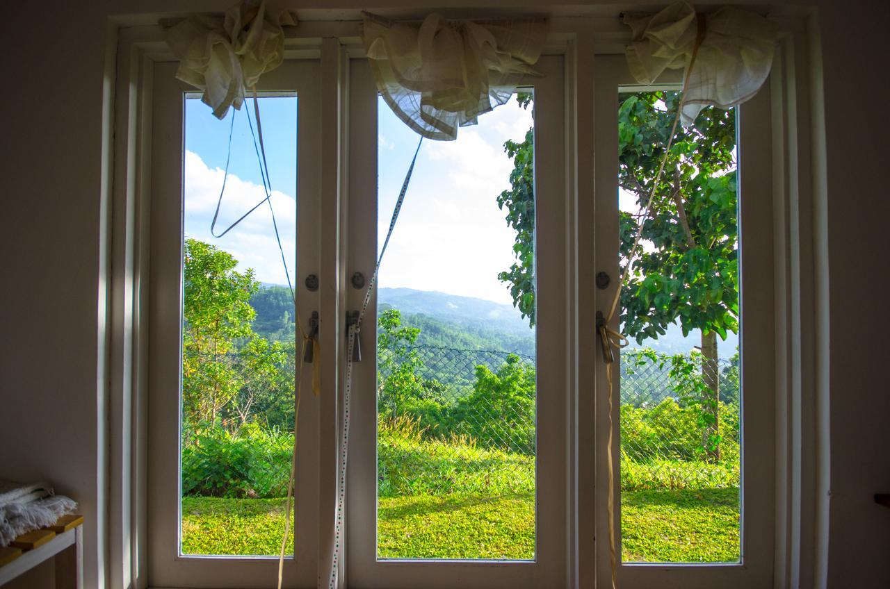 Summit View Bed and Breakfast Kandy Buitenkant foto