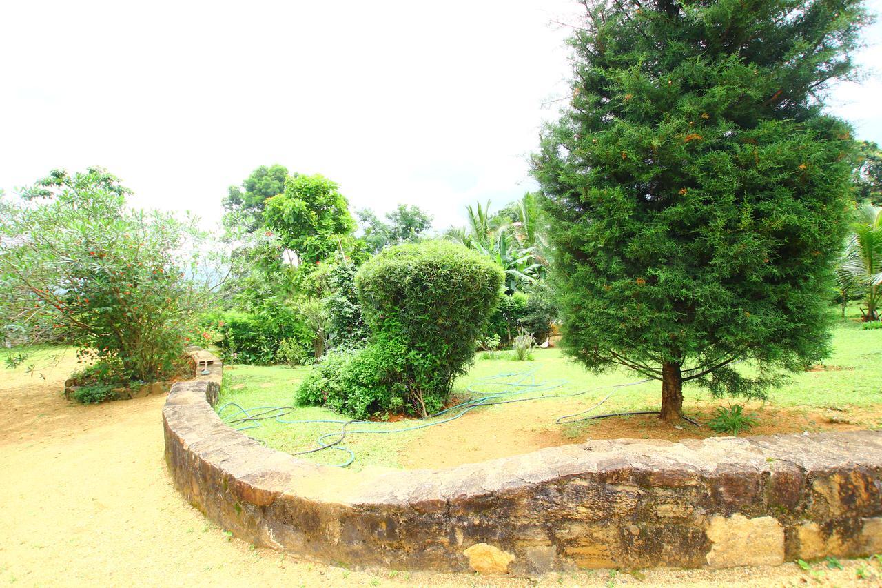 Summit View Bed and Breakfast Kandy Buitenkant foto