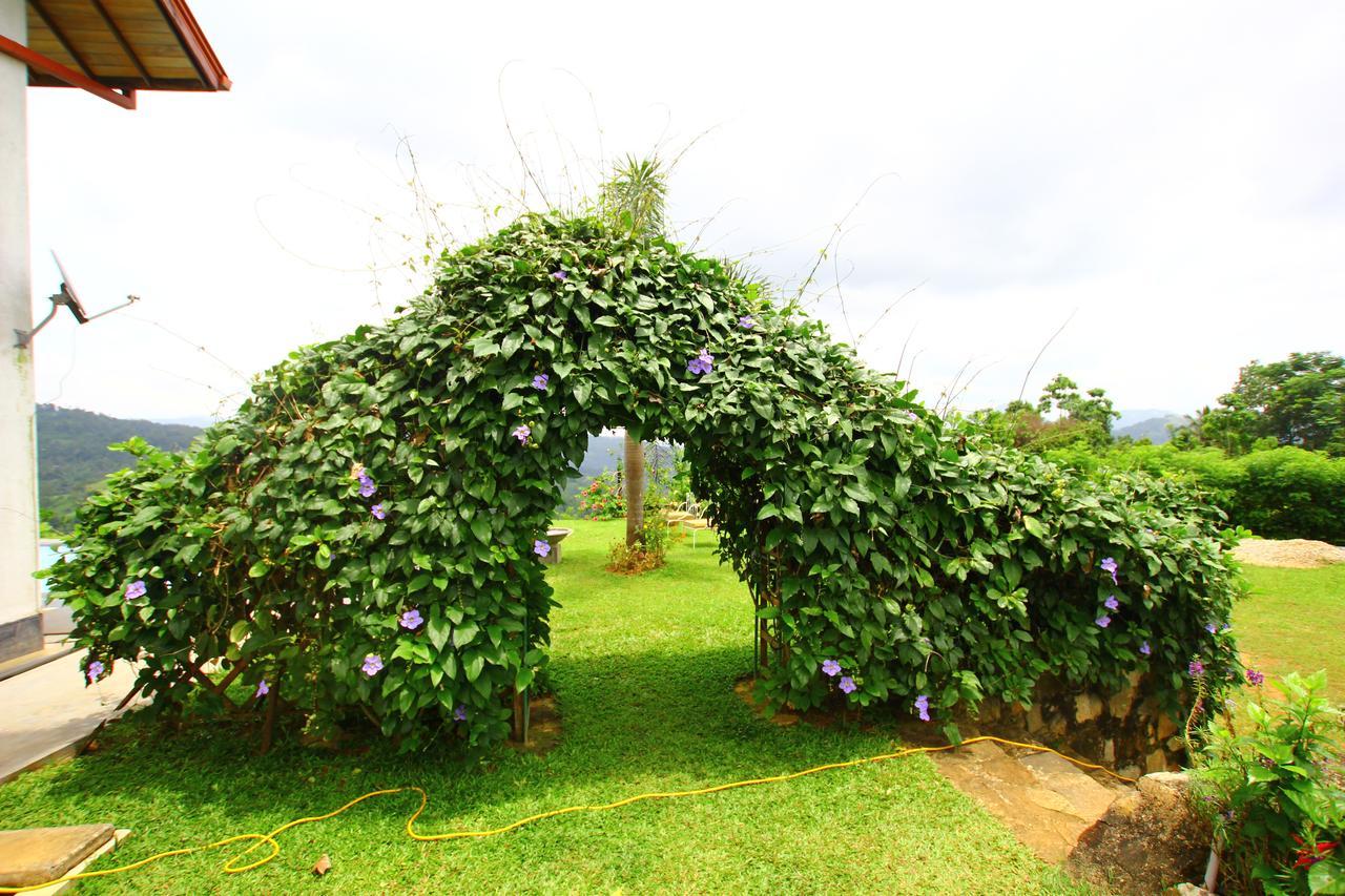 Summit View Bed and Breakfast Kandy Buitenkant foto