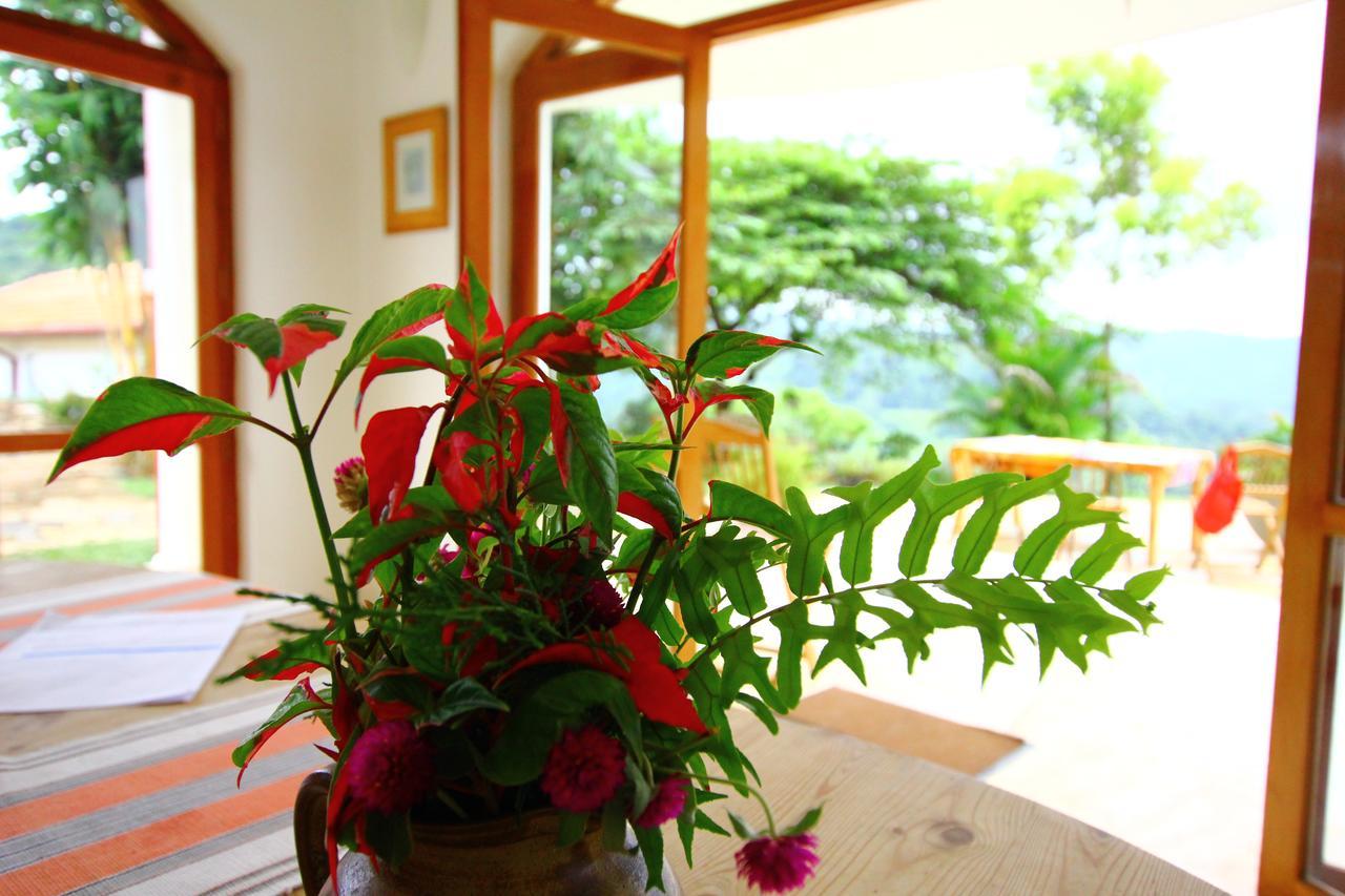 Summit View Bed and Breakfast Kandy Buitenkant foto