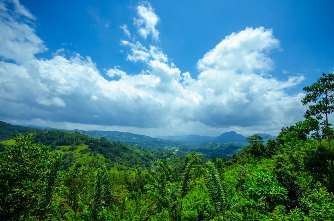 Summit View Bed and Breakfast Kandy Buitenkant foto