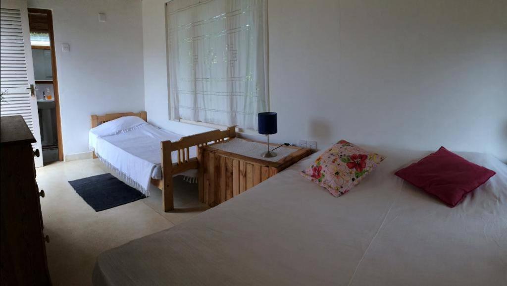 Summit View Bed and Breakfast Kandy Buitenkant foto